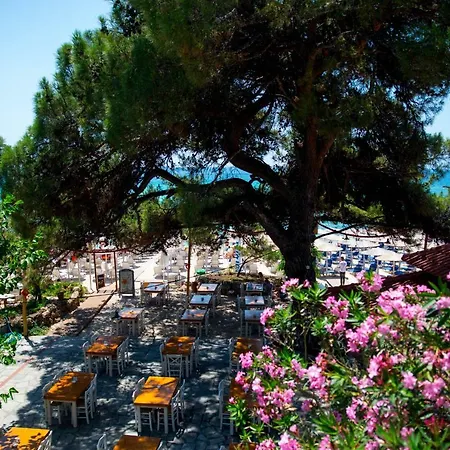 Psili Ammos Seaside Luxury Aparthotel 3*