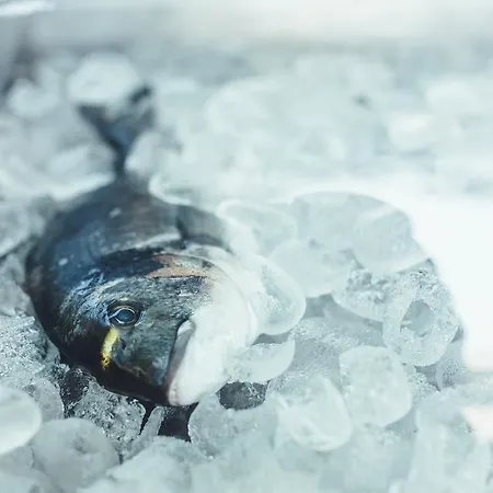 מלון דירות Psili Ammos Seaside Luxury אסטריס